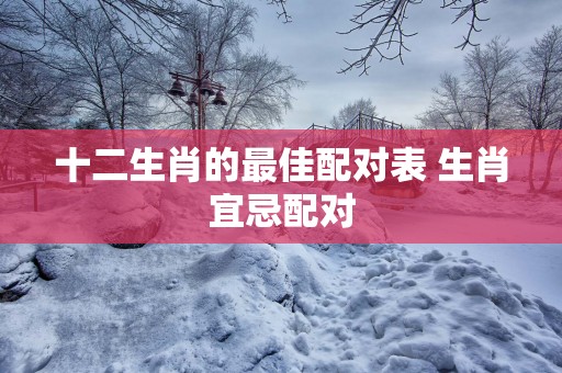 十二生肖的最佳配对表 生肖宜忌配对