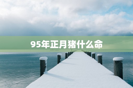 95年正月猪什么命