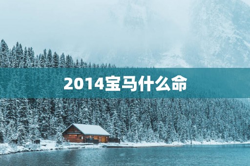 2014宝马什么命