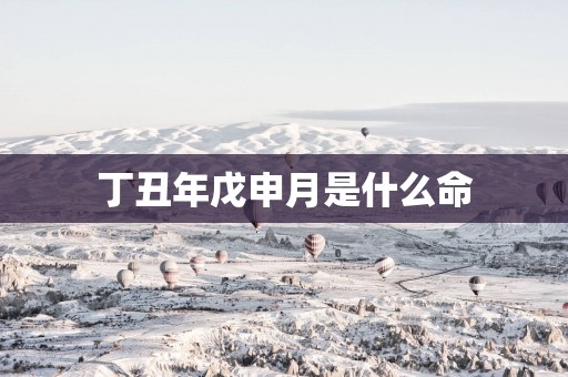 丁丑年戊申月是什么命