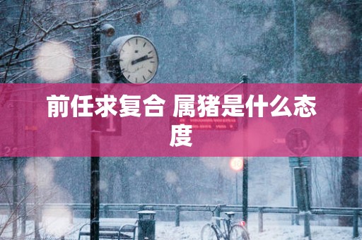 前任求复合 属猪是什么态度