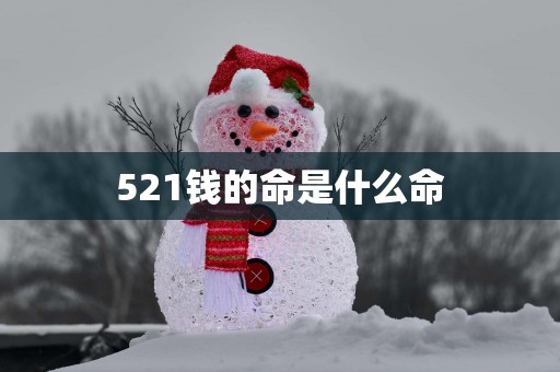 521钱的命是什么命