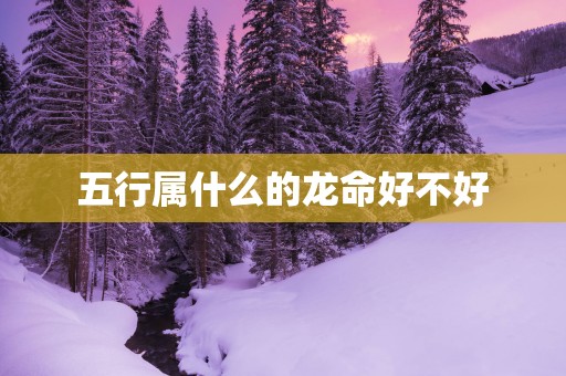五行属什么的龙命好不好