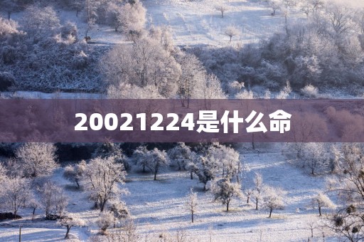 20021224是什么命