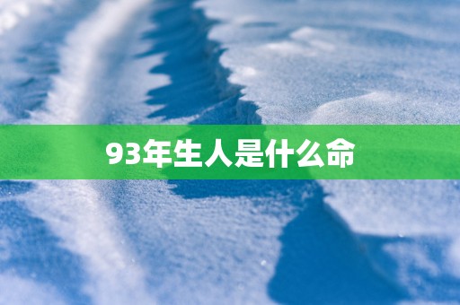 93年生人是什么命