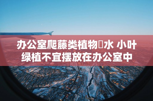 办公室爬藤类植物風水 小叶绿植不宜摆放在办公室中