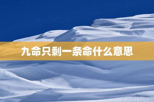 九命只剩一条命什么意思