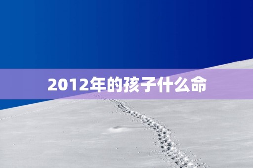 2012年的孩子什么命