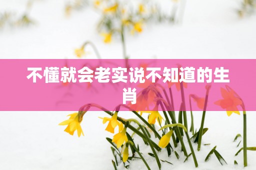 不懂就会老实说不知道的生肖
