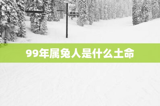 99年属兔人是什么土命