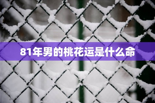 81年男的桃花运是什么命
