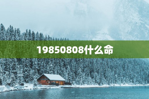 19850808什么命