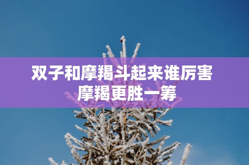 双子和摩羯斗起来谁厉害  摩羯更胜一筹