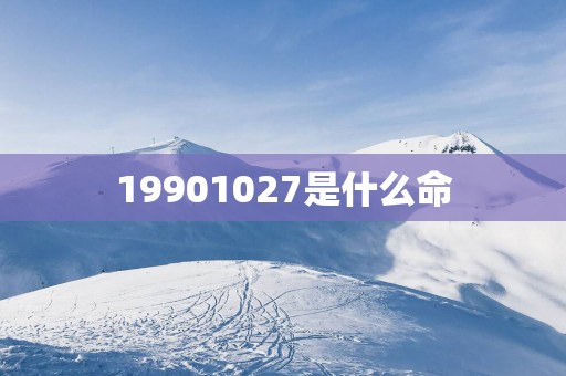 19901027是什么命