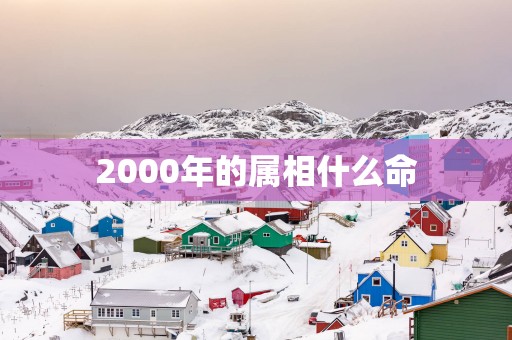 2000年的属相什么命