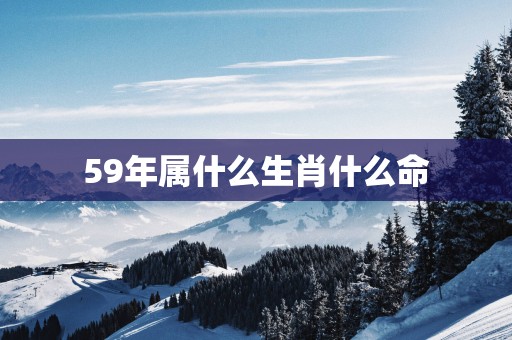 59年属什么生肖什么命