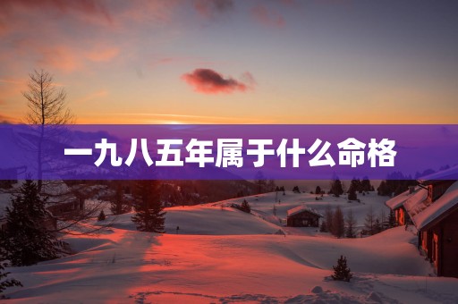 一九八五年属于什么命格