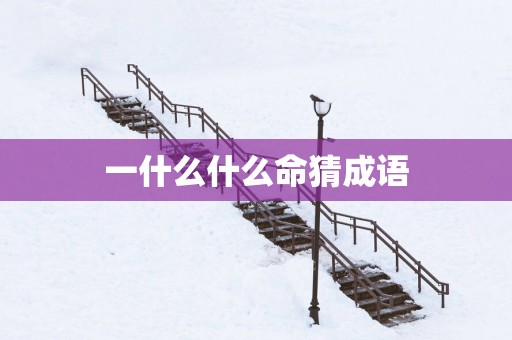 一什么什么命猜成语