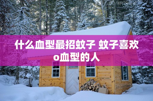 什么血型最招蚊子 蚊子喜欢o血型的人