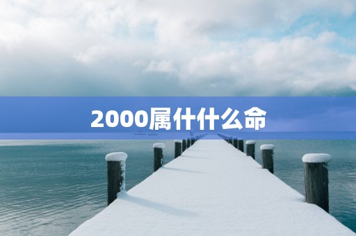 2000属什什么命