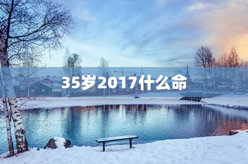35岁2017什么命