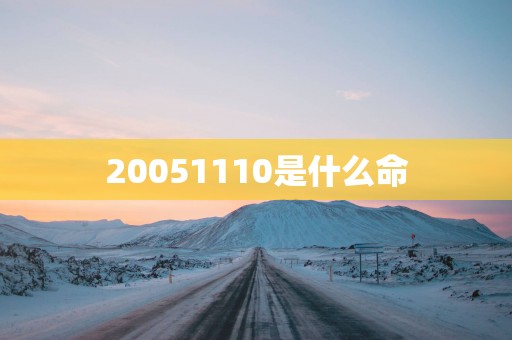 20051110是什么命