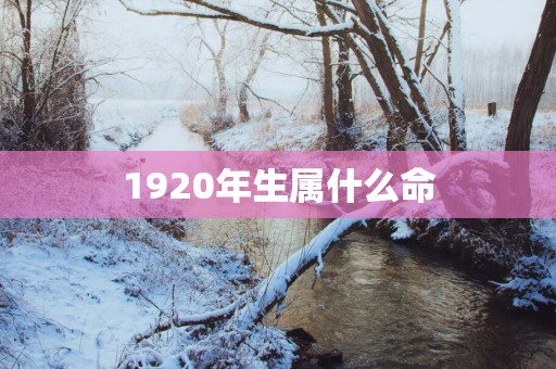 1920年生属什么命