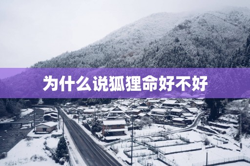 为什么说狐狸命好不好