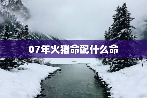 07年火猪命配什么命