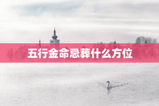 五行金命忌葬什么方位