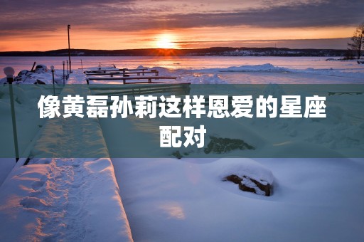 像黄磊孙莉这样恩爱的星座配对