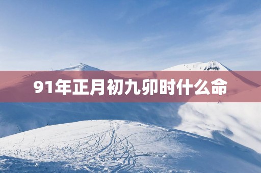 91年正月初九卯时什么命