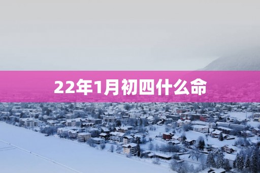 22年1月初四什么命