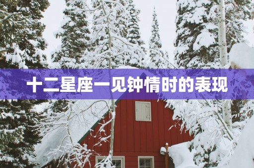 十二星座一见钟情时的表现