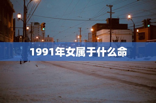 1991年女属于什么命
