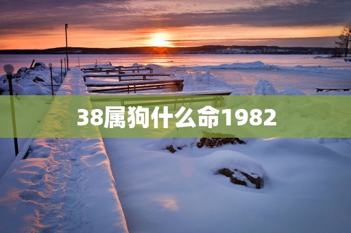 38属狗什么命1982