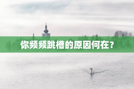 你频频跳槽的原因何在？
