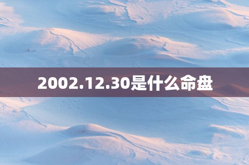 2002.12.30是什么命盘