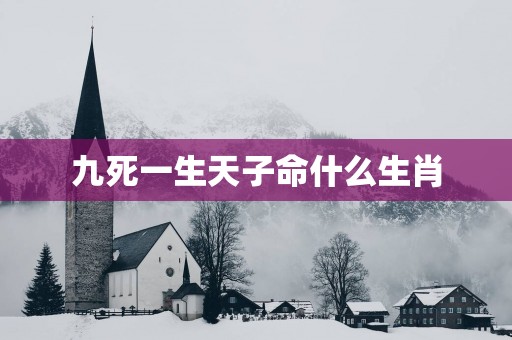 九死一生天子命什么生肖