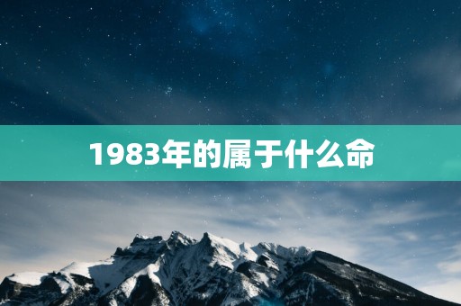 1983年的属于什么命
