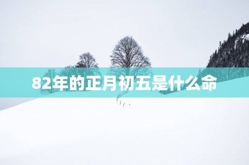 82年的正月初五是什么命
