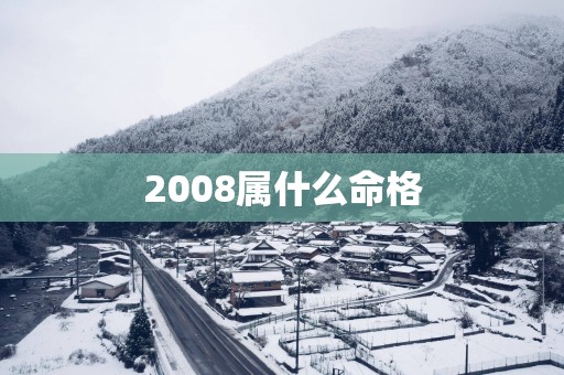 2008属什么命格