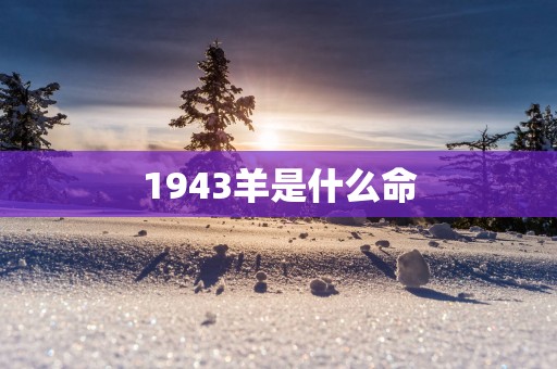1943羊是什么命