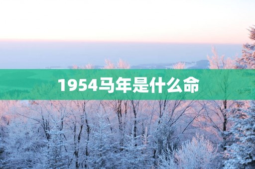 1954马年是什么命