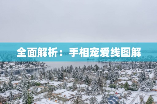 全面解析：手相宠爱线图解