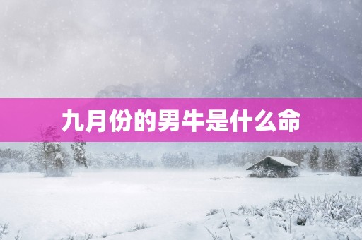 九月份的男牛是什么命
