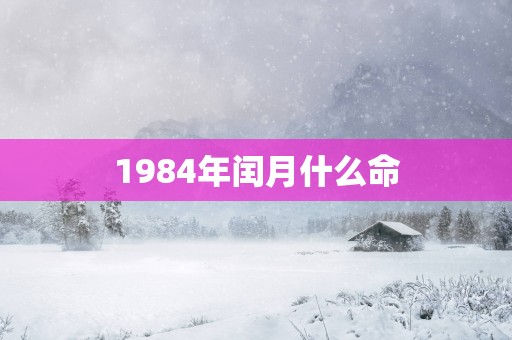 1984年闰月什么命