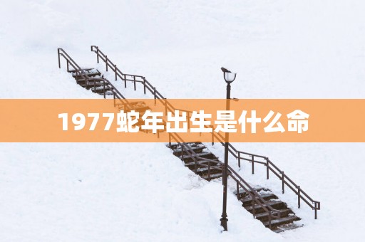 1977蛇年出生是什么命