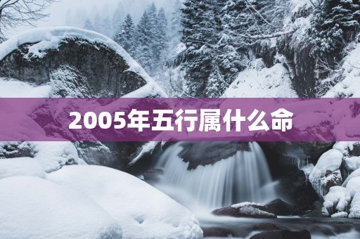 2005年五行属什么命