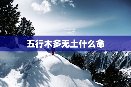 五行木多无土什么命